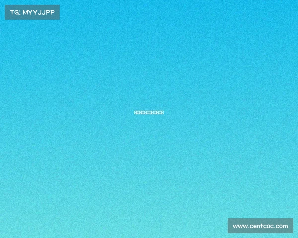 赛季各项赛事进球记录查询